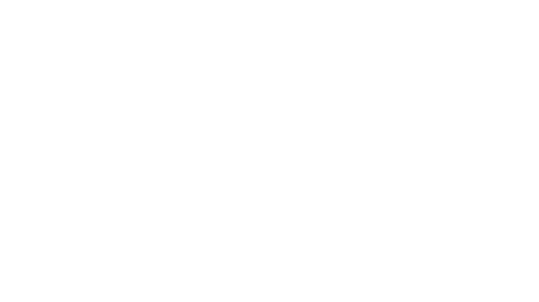 flight-points-service